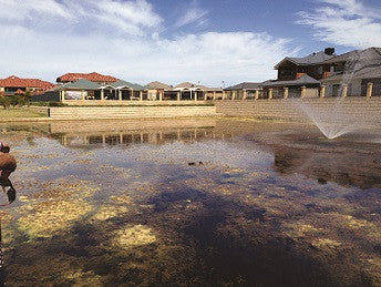 Case study - Pond Algae Control using The Water Cleanser