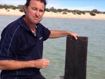 Placing The Water Cleanser (Industrial blocks) in Lakes, Dams and Stock Tanks